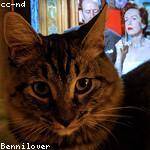 Joanie Kessler Profile Picture