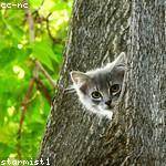 Sydnee Streich Profile Picture