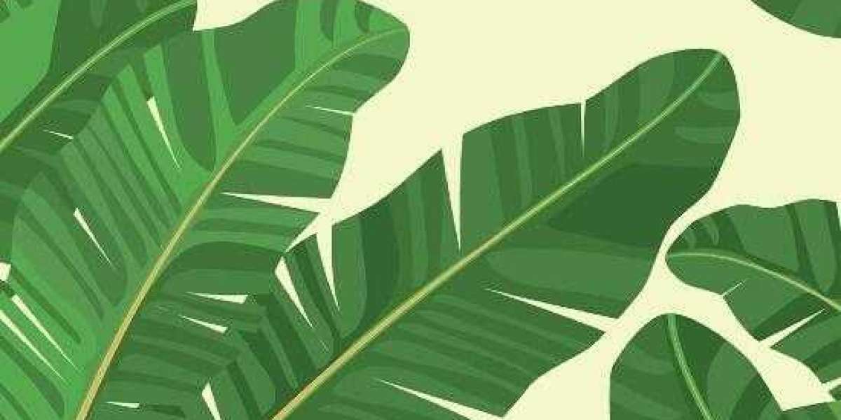 Wednesday's Elite Booking Codes: The Path to Midweek Triumph