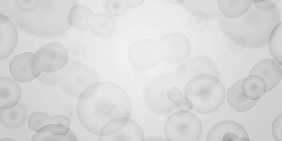 The Rise of Private Charter Airlines: A Brand new Era In Air Travel