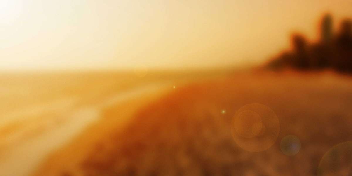 Understanding Small Loans No Credit Check: A Comprehensive Information