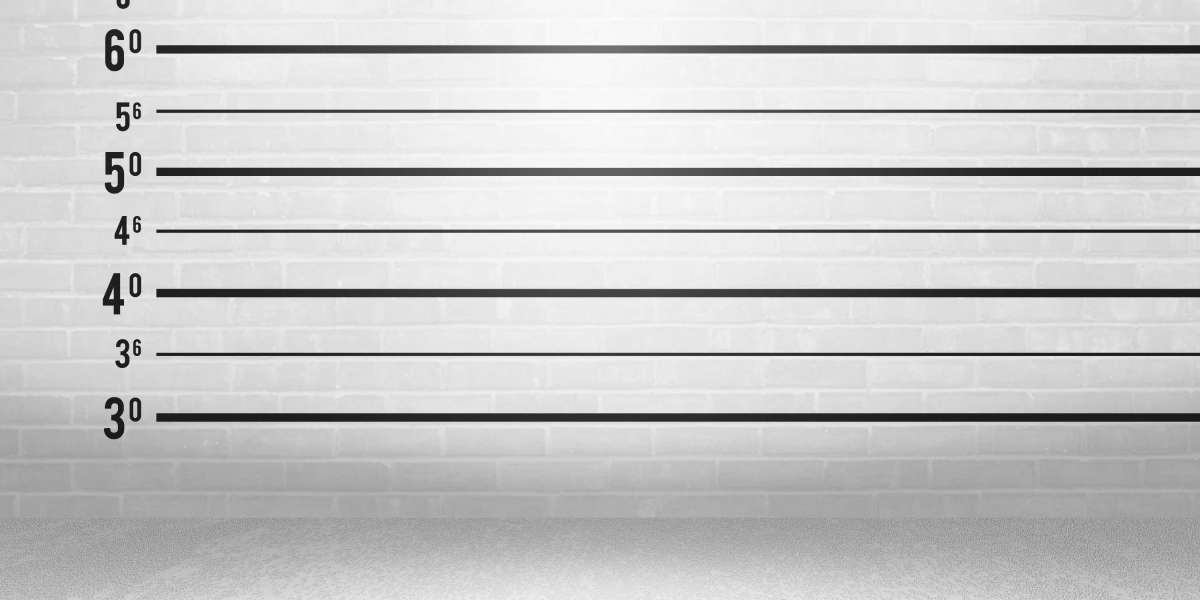 Best No Credit Check Loans: A Complete Information