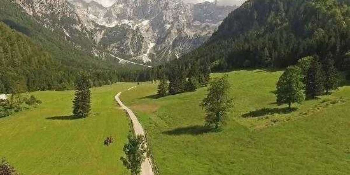 Understanding REO, Short Sales, BPO, and Foreclosures Genuine Estate