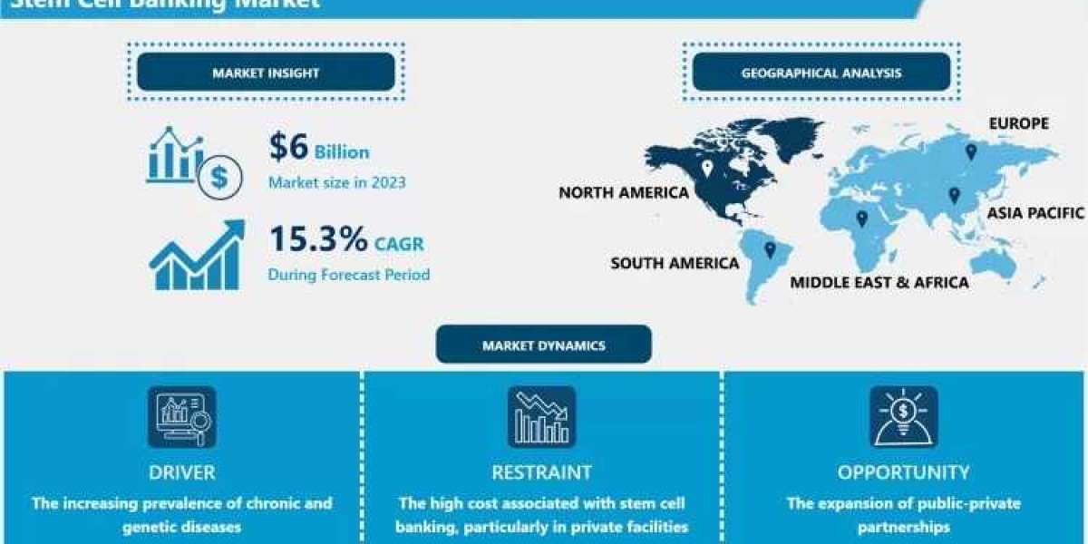 Stem Cell Banking Market to Grow at a CAGR of 15.3% Through 2032