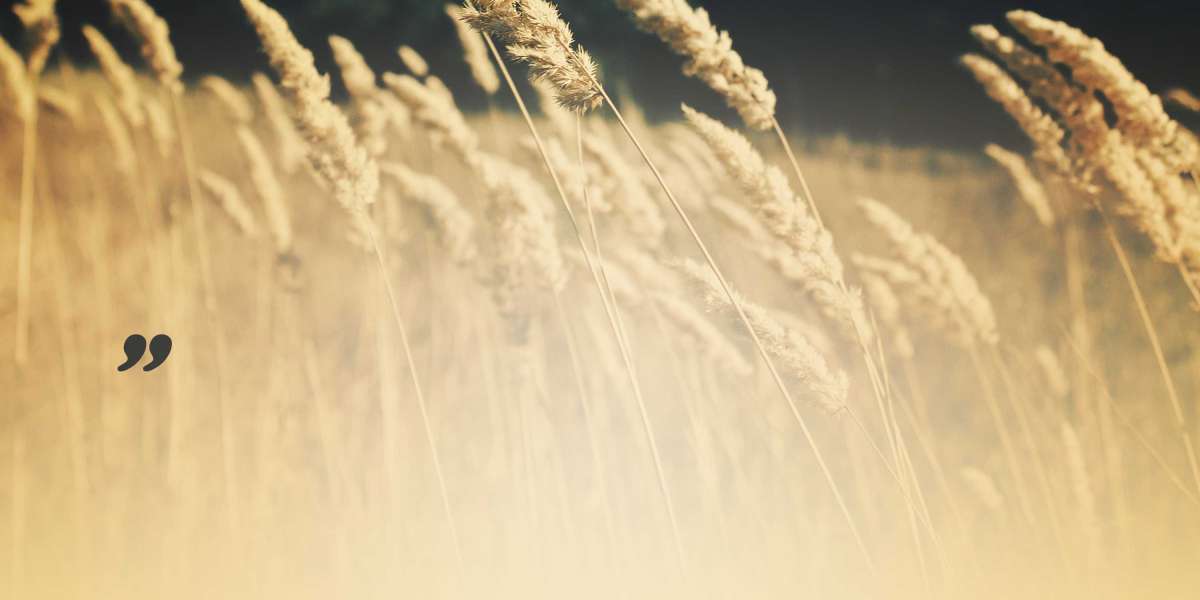 Sugar Daddy Websites: A Comprehensive Rating Guide for 2023